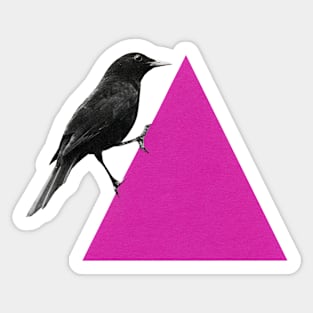 Crow Sticker